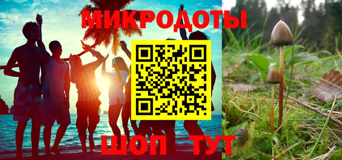Норильск  Псилоцибиновые грибы Psilocybe  Вход с VPN 